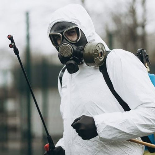 Новые товары и услуги в городе Десногорск