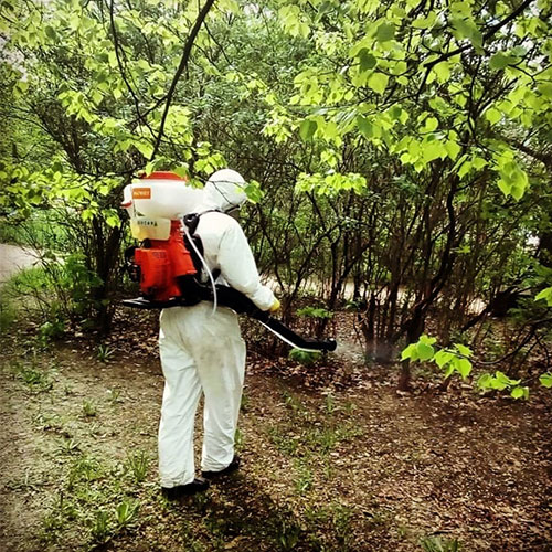 Обновление товаров и услуг в городе Домодедово