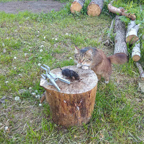 Последние изменения в городе Озёрск-Ч