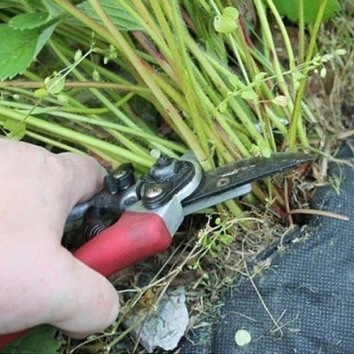 Обновление товаров и услуг в городе Рыбинск