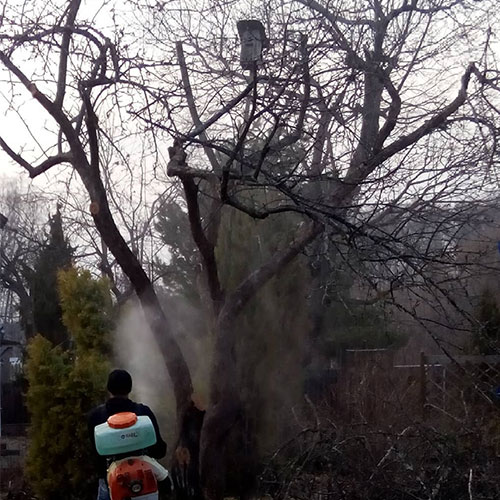 Последние изменения в городе Покачи