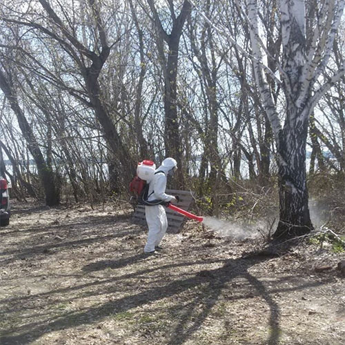 Обновление товаров и услуг в городе Новотроицк