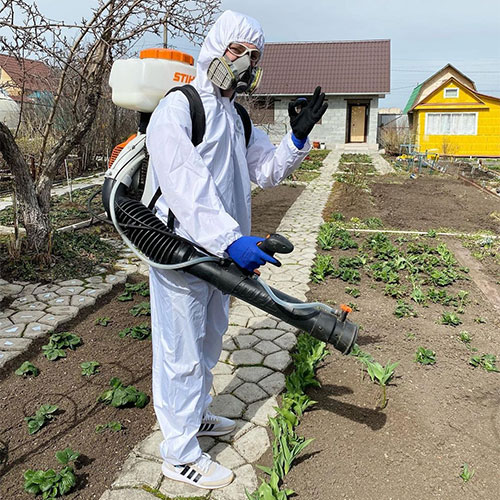 Новые товары и услуги в городе Котлас