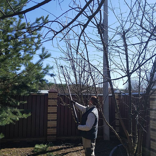 Новые товары и услуги в городе Красный-Кут