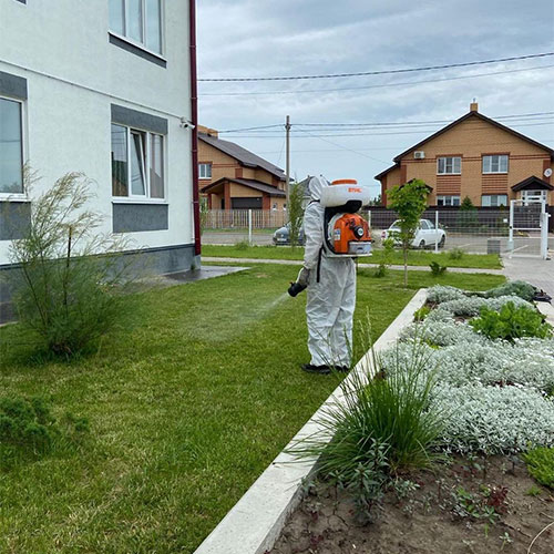 Что нового в городе Инта?