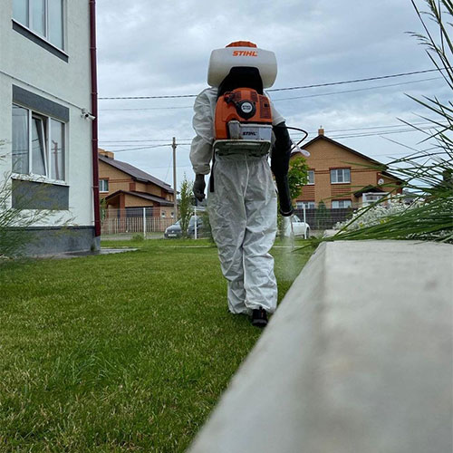 Новые товары и услуги в городе Белореченск