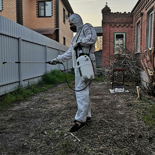 Новые товары и услуги в городе Починок