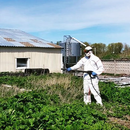 Обновление товаров и услуг в городе Нестеров