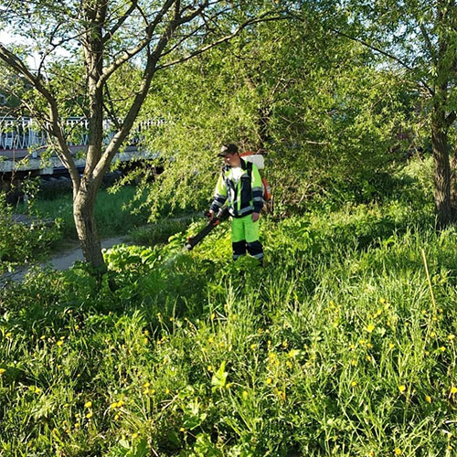 Что нового в городе Томск?