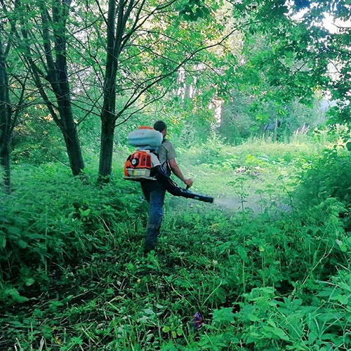 Обновление товаров и услуг в городе Южа