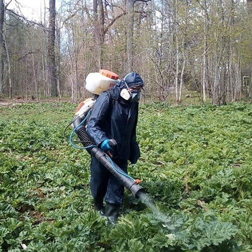 Новые товары и услуги в городе Чебаркуль