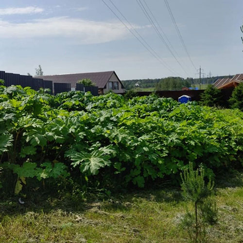 Последние изменения в городе Череповец