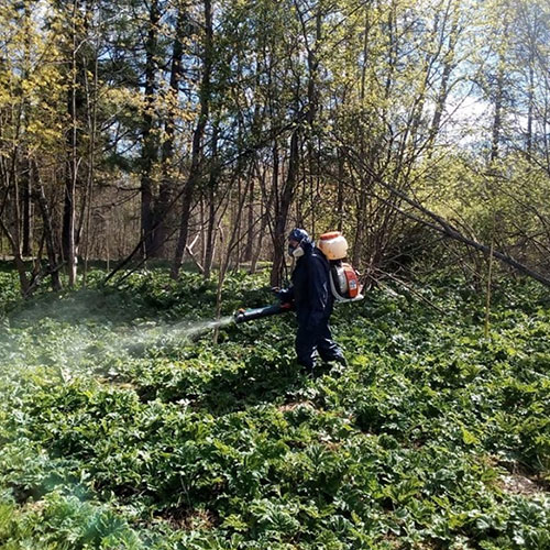 Обновление товаров и услуг в городе Себеж