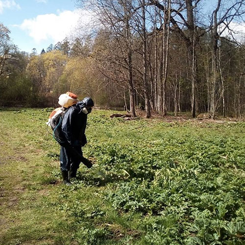 Последние изменения в городе Красноперекопск