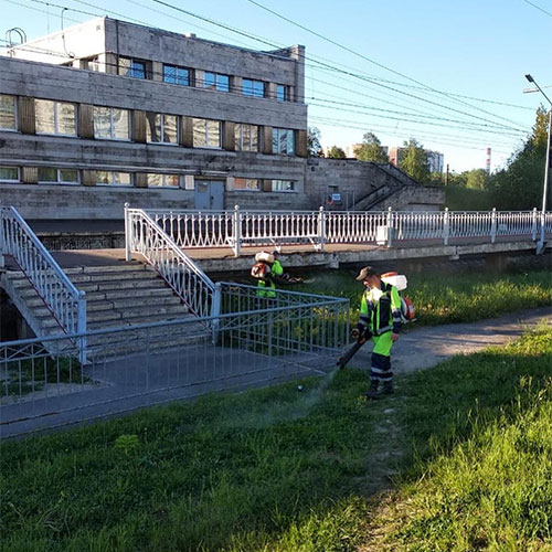 Заказать уничтожение борщевика Волжский