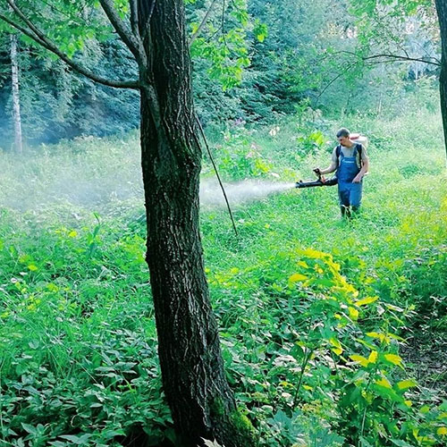 Последние изменения в городе Перевоз