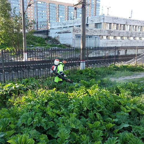 Обновление товаров и услуг в городе Тавда