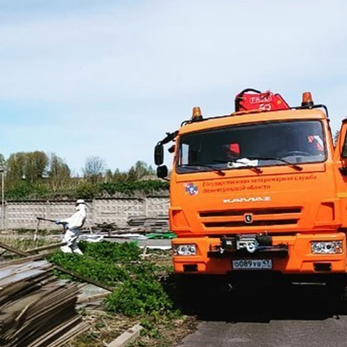 Заказать уничтожение борщевика Гуково